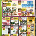 pingo doce 14 a 20 janeiro_18 (1).jpg